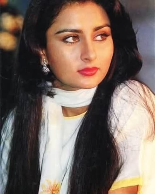 सिनेमाबरोबरच अभिनेत्री पूनमनं अनेक टेलिव्हिजन शोमध्येही काम केलं आहे. 'संतोषी मां', 'एक नई पहचान', 'दिल ही तो हे' सारखे अनेक शो तिने केले आहेत.  