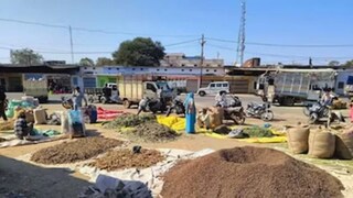 फाइल फोटो