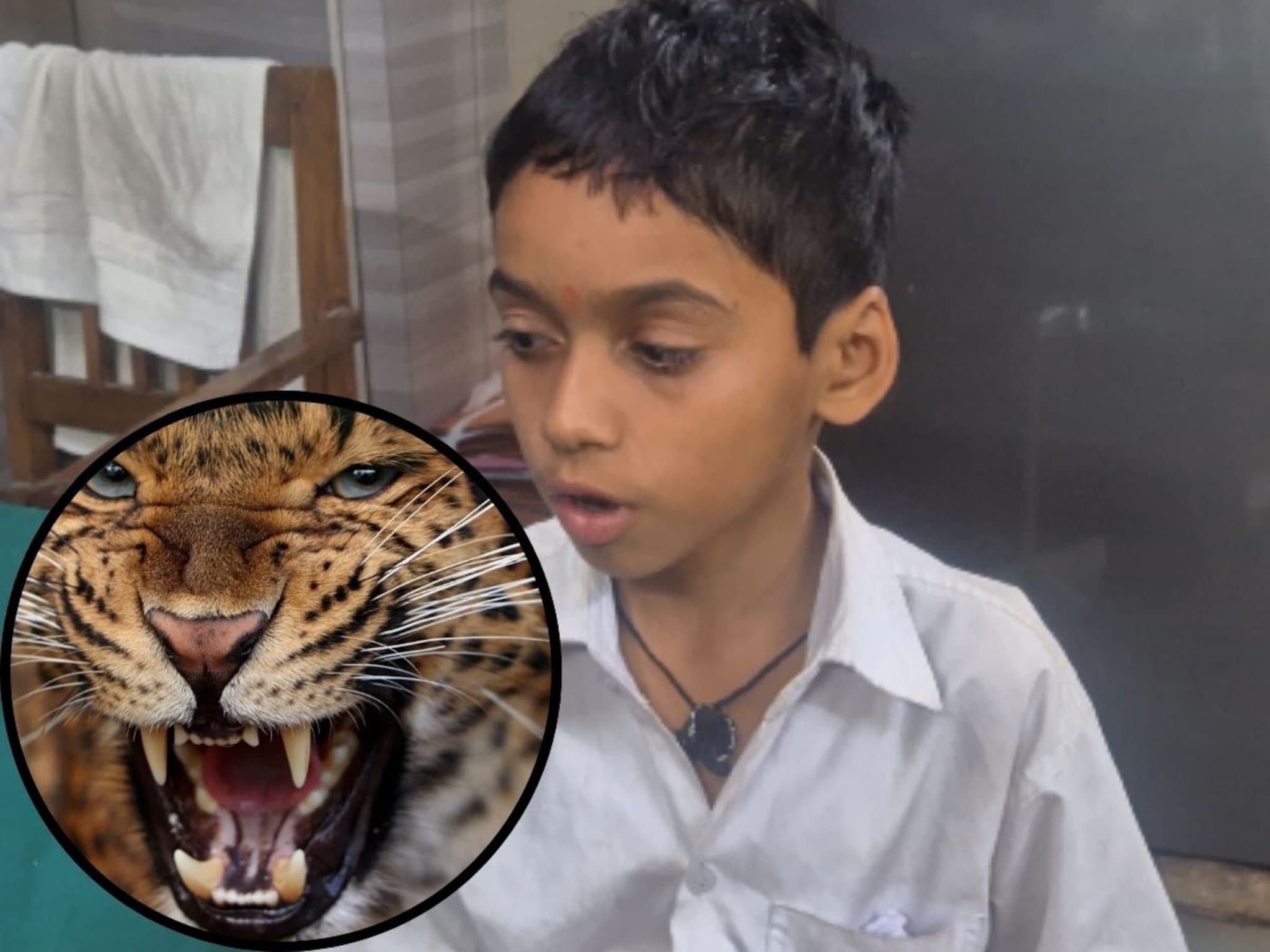 दप्तर ठरली ढाल, मृत्यूच्या दाढेतून 11 वर्षांचा मयांक घरी परतला, पालघरमधील घटना