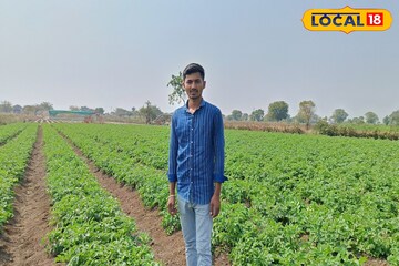 नोकरी मिळत नसल्यामुळे घेतला उलट निर्णय, एका एकरमध्ये केली बटाटा लागवड, 3 लाख नफा