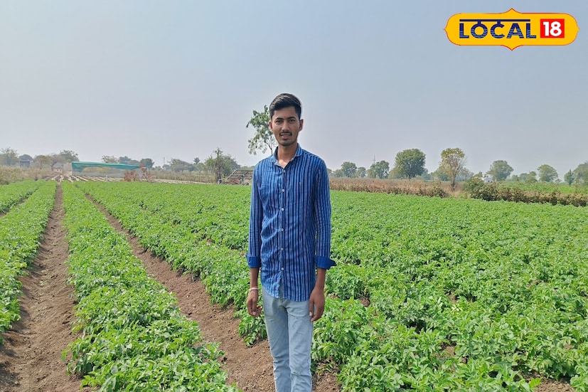 शिक्षण असूनही नोकरी मिळत नसल्याने अनेक तरुण निराश होतात. पण बीड जिल्ह्यातील दीपक सोनवणे या तरुण शेतकऱ्याने मात्र उलट निर्णय घेतला. नोकरीच्या मागे न लागता त्यांनी आपली शेती सुधारण्याचा निर्धार केला आणि एका एकर क्षेत्रामध्ये बटाट्याची लागवड करून चांगले उत्पन्न मिळवता येते, हे सिद्ध करून दाखवले. मागील वर्षभरात त्यांनी केलेल्या प्रयोगातून त्यांना सुमारे 3 लाख रुपयांचा नफा मिळाला असून, त्यांची सुरुवात अनेक तरुणांसाठी प्रेरणादायी ठरत आहे. शिक्षण असूनही नोकरी मिळत नसल्याने अनेक तरुण निराश होतात. पण बीड जिल्ह्यातील दीपक सोनवणे या तरुण शेतकऱ्याने मात्र उलट निर्णय घेतला. नोकरीच्या मागे न लागता त्यांनी आपली शेती सुधारण्याचा निर्धार केला आणि एका एकर क्षेत्रामध्ये बटाट्याची लागवड करून चांगले उत्पन्न मिळवता येते, हे सिद्ध करून दाखवले. मागील वर्षभरात त्यांनी केलेल्या प्रयोगातून त्यांना सुमारे 3 लाख रुपयांचा नफा मिळाला असून, त्यांची सुरुवात अनेक तरुणांसाठी प्रेरणादायी ठरत आहे.