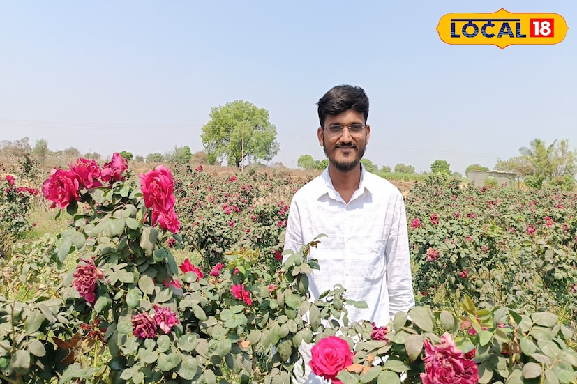 गोविंद चव्हाण यांची एकूण शेती दोन एकर क्षेत्रावर पसरलेली आहे. त्यापैकी एक एकर गुलाब लागवडीसाठी आणि दुसरे एक एकर पारंपरिक पिकांसाठी राखीव आहे. त्यांनी गुलाब शेतीमध्ये ठिबक सिंचन तंत्राचा अवलंब केला आहे, ज्यामुळे पाण्याची बचत होते आणि झाडांना योग्य प्रमाणात पोषण मिळते.