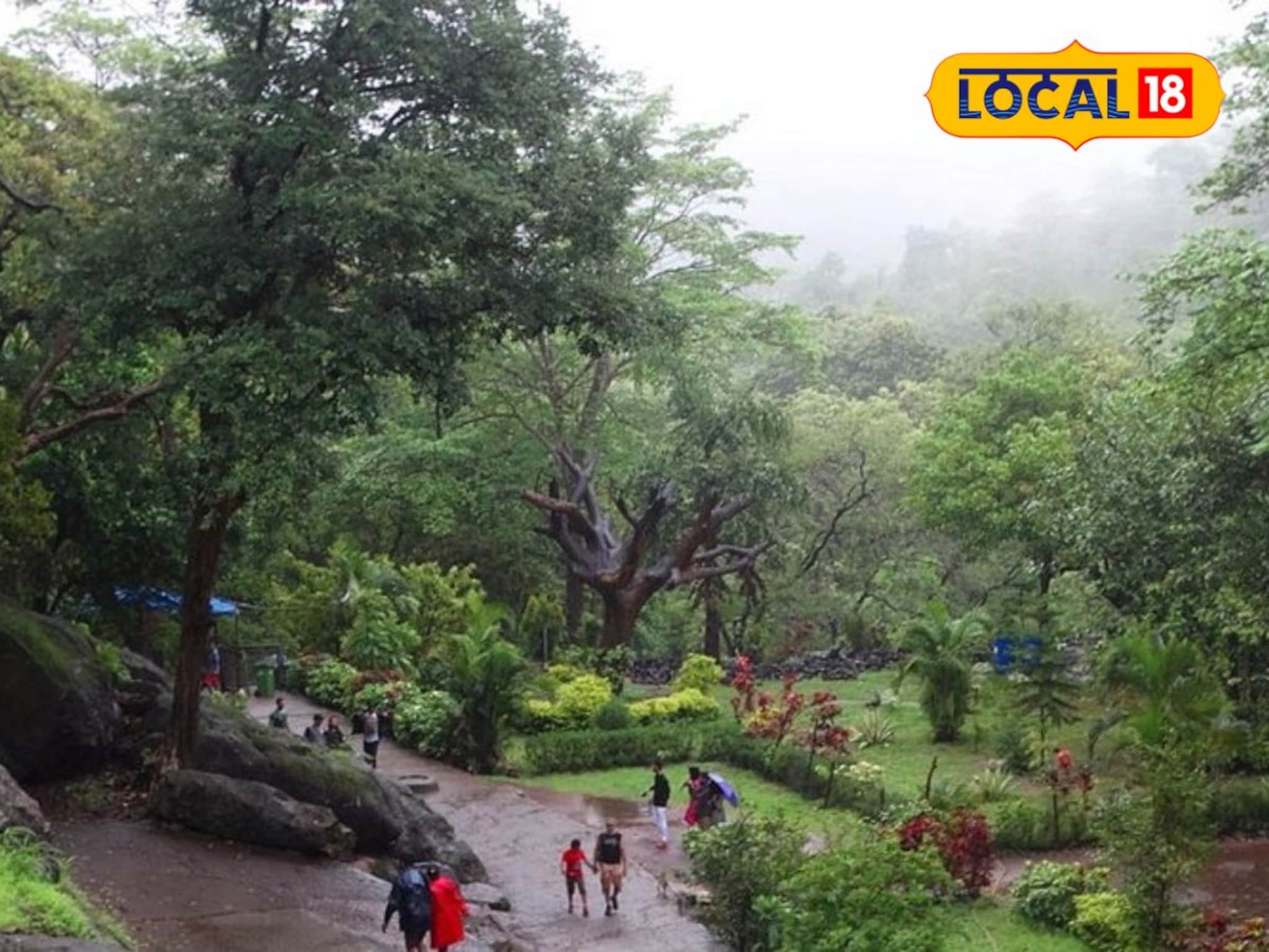 बोरिवलीच्या नॅशनल पार्कचं पर्यटकांना गिफ्ट, छोटे-मोठे सगळेच होणार खुश