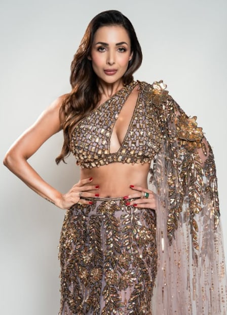  मलायका अरोरा नेहमीच आपल्या फिटनेस आणि स्टाइलने चाहत्यांचं लक्ष वेधून घेत असते. पण आजही अभिनेत्री आपल्या जुन्या क्रशला विसरलेली नाही. अभिनेत्रीने तिच्या बेडरूममध्येही या अभिनेत्याचं पोस्टर लावलेलं आहे.