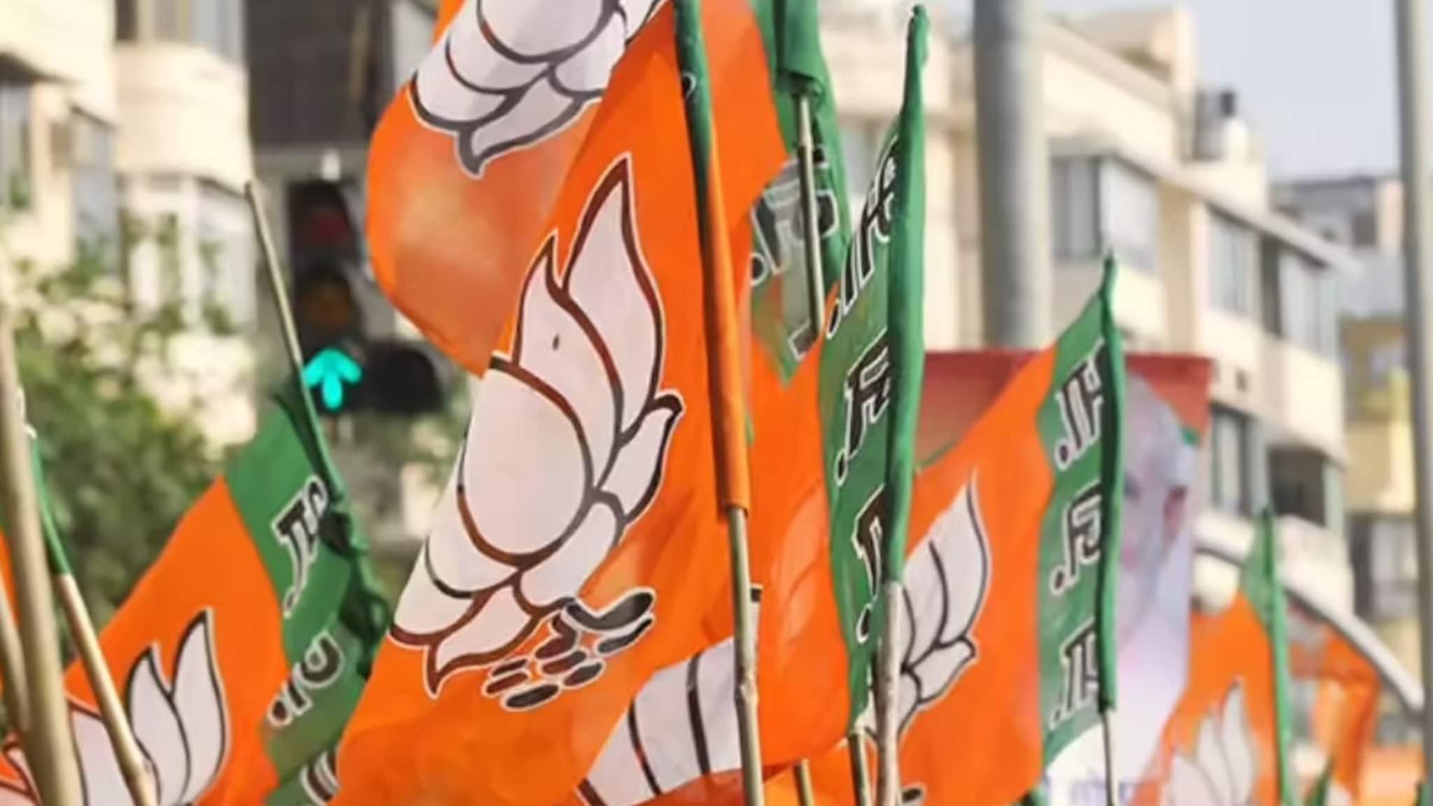 Shevgaon Nagar Parishad : भाजपने ज्याला नाकारलं त्यानेच गेम केला, महायुती विरोधात मैदानात