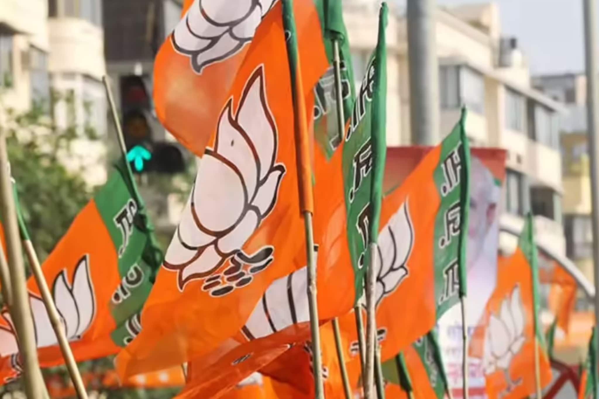 भाजपने ज्याला नाकारलं त्यानेच गेम केला, महायुती विरोधात मैदानात