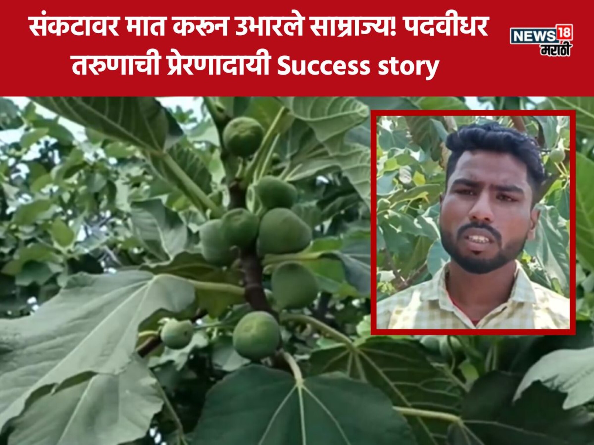Farmer Success Story: नोकरी गेली अन् मातीशी पुन्हा नाळ जोडली, पुरंदरच्या शेतकऱ्यानं मिळवला 10 लाखांचा नफा, नक्की करतोय काय?