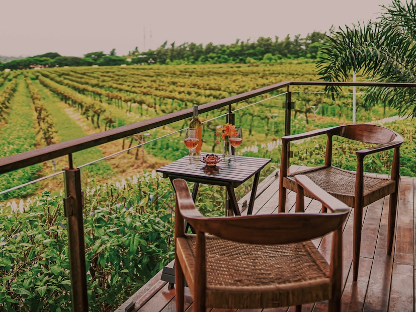  नाशिकला भारताची 'वाइन कॅपिटल' म्हणून ओळखले जाते आणि 'सुला विनयार्ड्स' हे त्याचे केंद्र आहे. हे ठिकाण पिकनिकपेक्षा युनिक अनुभवासाठी ओळखले जाते. येथे तुम्ही वाइन टेस्टिंग करू शकता, द्राक्षांच्या मळ्यांमध्ये फेरफटका मारू शकता आणि इटालियन-शैलीतील रेस्टॉरंटमध्ये जेवणाचा आनंद घेऊ शकता. हे ठिकाण नाशिकपासून सुमारे 13 किमी अंतरावर आहे.