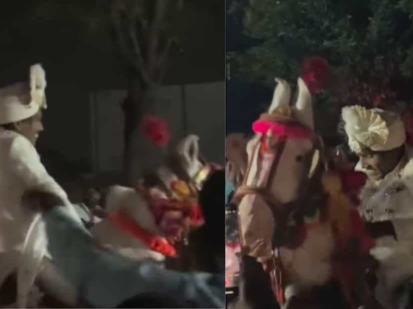  सूरजने घोड्यावरुन शाही अंदाजात लग्नमंडमात एन्ट्री घेतली होती. त्यावेळी घोडादेखील उधळला होता. शाही थाट, प्रचंड गर्दी, ढोल-ताशांचा गजर आणि उधळणारा घोडा असं सूरजच्या लग्नाचं वातावरण होतं.