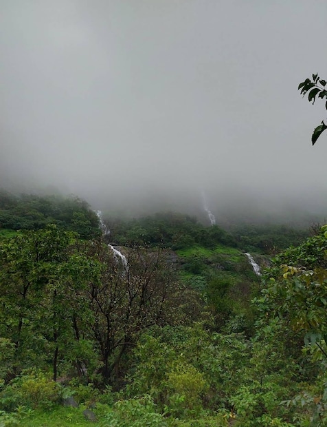 ताम्हिणी हा मार्ग पूर्वीपासूनच आदिवासी, शिकारी आणि जंगलातील वनसंपत्ती गोळा करणाऱ्या जमातींसाठी महत्त्वाचा होता. घनदाट झाडे, खोल दऱ्या आणि सतत ओलसर हवामानामुळे हा प्रदेश नैसर्गिक किल्ल्यासारखा मानला जायचा.