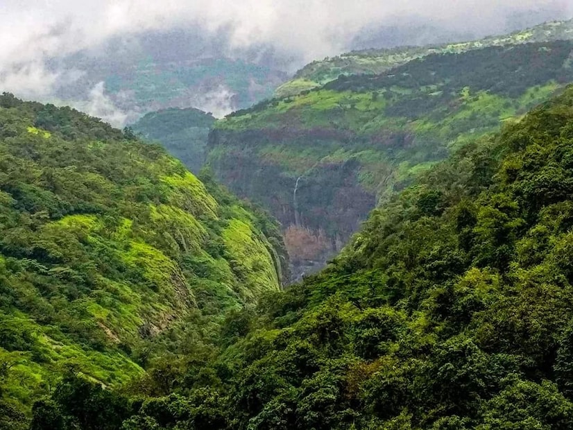 ताम्हिणी या नावाबद्दल अनेक कथा प्रचलित आहेत. काही लोकांच्या मते ताम्ही किंवा ताम्हण नावाच्या एका प्राचीन आदिवासी वस्तीवरून या परिसराला ताम्हिणी असं नाव पडलं.