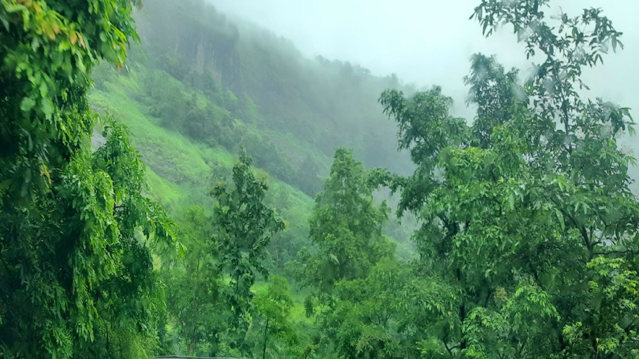 Tamhini Ghat : ताम्हिणी घाटाचं नाव कसं पडलं, अर्थ काय? संपूर्ण इतिहास
