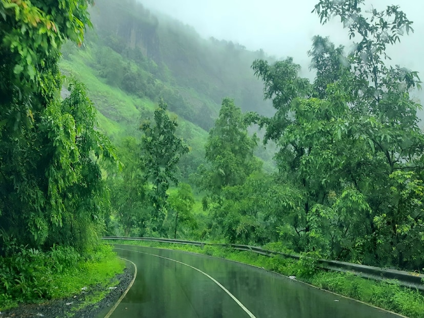 पुणे जिल्ह्यातील मुळशी परिसरातून कोकणातील किनारी भागाकडे जाणारा ताम्हिणी घाट हा सह्याद्रीच्या पश्चिम घाटातील सर्वात प्राचीन आणि दाट जंगलांनी वेढलेला मार्ग मानला जातो.