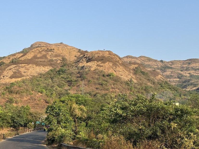 मराठा साम्राज्याच्या काळात ताम्हिणी हा प्रमुख सैनिकी मार्ग नसला तरी स्थानिक पातळीवर कोकणातून घाटमाथ्याकडे जाण्यासाठी हा सुरक्षित उपमार्ग वापरला जायचा.