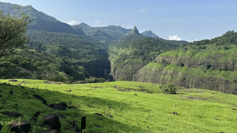 काहींच्या मते इथं तपोभूमी म्हणून अनेक ऋषींचं आश्रम होतं, त्यामुळे तप-हिणी किंवा ताम्हीणी असा उच्चार पुढे बदलून ताम्हिणी झाला.