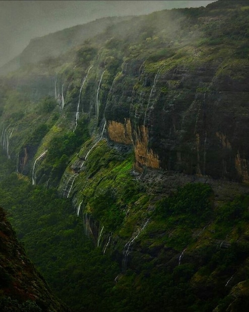 तसंच काही ठिकाणी ताम्हण झाडं विपुल प्रमाणात असल्यामुळेही नावाची सांगड घालण्यात येतं. यामुळे ताम्हिणी या नावाचा संबंध आदिवासी परंपरा, जंगल आणि अध्यात्म या तिन्हींच्या मिश्रणातून घडलेला दिसतो.