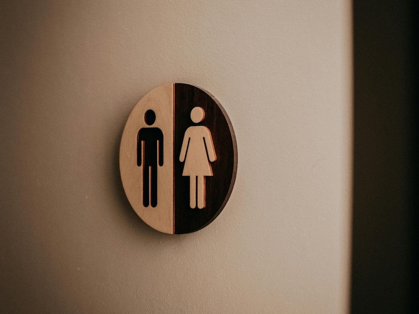 बाथरूम, वॉशरूम, रेस्टरूम हे शब्द आपल्यासाठी दररोजचे झाले आहेत. टॉयलेटला असलेली ही वेगवेगळी नावं. त्यांचा उपयोगही तसा वेगळा आहे. यात आता आणखी एका शब्दाची भर पडली आहे ती म्हणजे पावडर रूम.