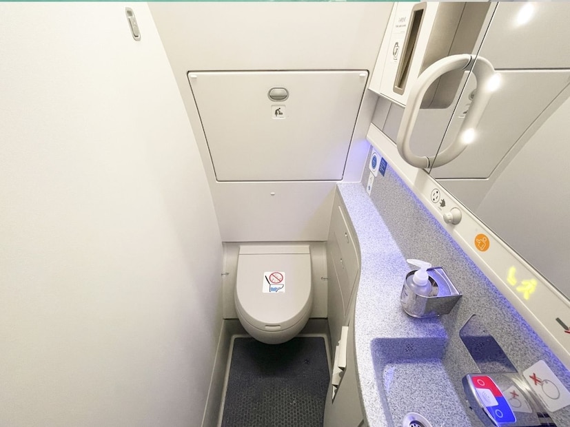 लेवोरेटरी हा लॅटिन शब्द लॅवरपासून आला आहे ज्याचा अर्थ धुणं असा होतो. हा शब्द विमानं आणि ट्रेनमध्ये वापरला जातो. फ्लाइटमध्ये कमी जागा असते म्हणून त्यासाठी लेवोरेटरी हा लहान आणि अधिक औपचारिक शब्द वापरला जातो.