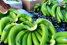 Success Story:  सिल्लोडच्या शेतकऱ्याची कमाल! मुरबाड जमिनीत प्रयोग केला अन् शेतमाल थेट इराणला पोहोचला