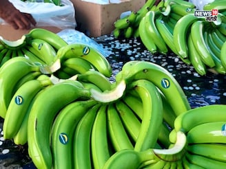 सिल्लोडच्या शेतकऱ्याची कमाल! मुरबाड जमिनीत प्रयोग केला अन् शेतमाल इराणला पोहोचला