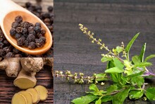 Health Tips : हिवाळ्यात घ्या तब्येतीची काळजी, सर्दी, खोकला होण्यापासून जपा, या काढ्याची रेसिपी लक्षात ठेवा