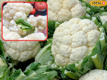 फुलकोबीतून कीटक काढून टाकण्याचे सोपे मार्ग