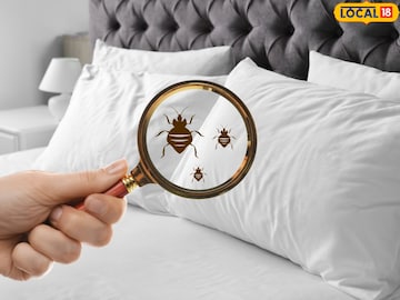 बेडबग्स दूर करण्यासाठी युक्त्या