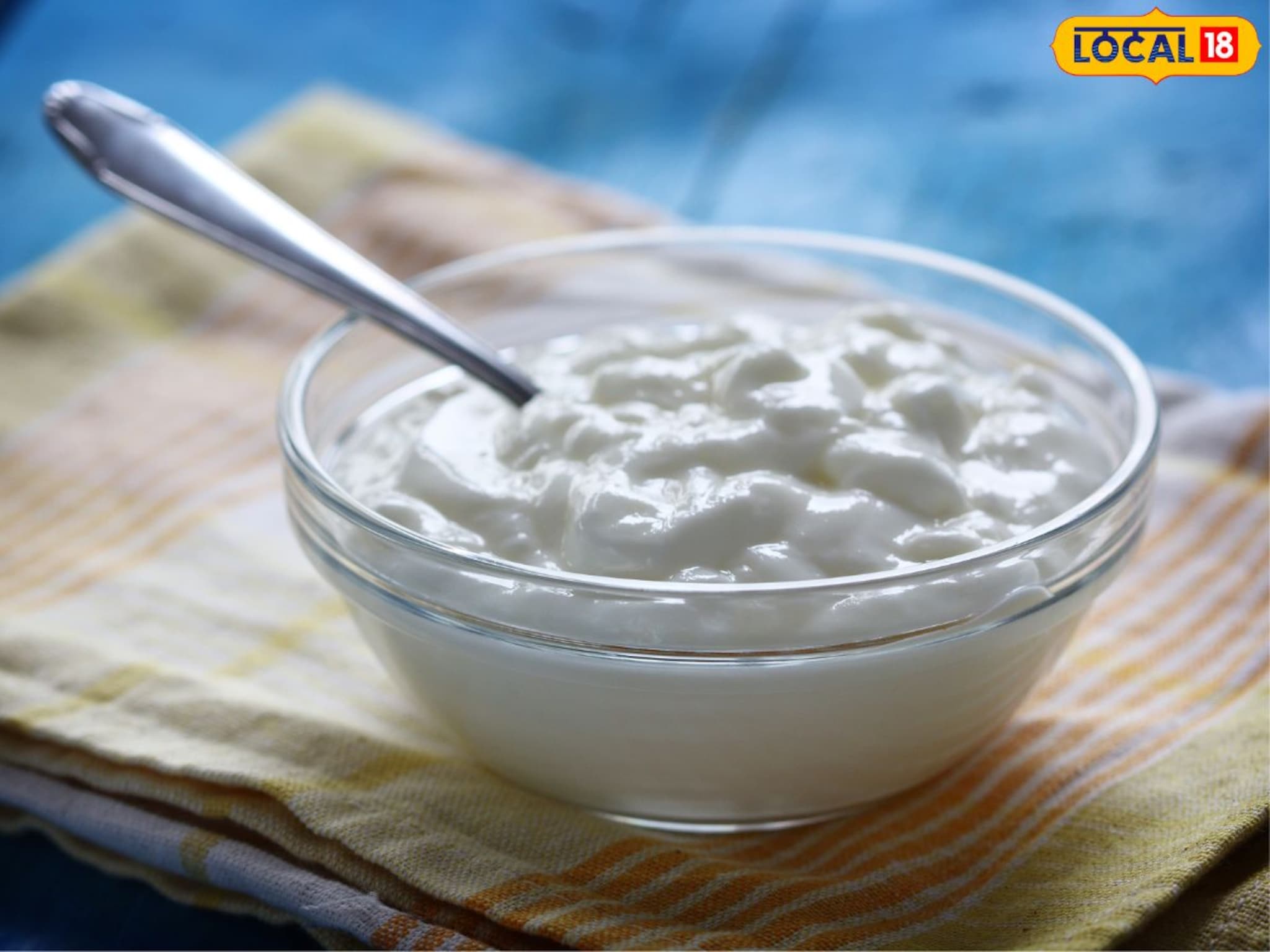 Curd In Winter : दही पोटासाठी जणू अमृत.. पण हिवाळ्यात खाणं सुरक्षित आहे का? काय होऊ शकते नुकसान?