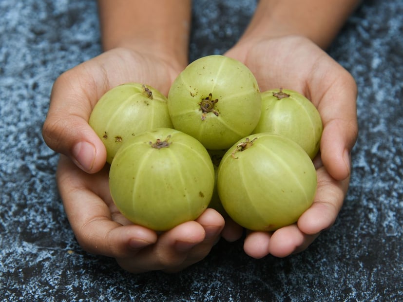 आवळ्यामध्ये अँटी-बॅक्टेरियल आणि अँटी-ऑक्सिडंट गुणधर्म असतात, जे त्वचेला खोलवर स्वच्छ करतात. म्हणून तुमच्या चेहऱ्यावर मुरुमे आणि डाग येण्याची समस्या असेल तर तुम्ही आवळा खावा. त्यात मुरुमे, ब्लॅकहेड्स आणि काळे डाग यासारख्या समस्या दूर करण्याची शक्ती आहे. आवळा खाल्ल्याने चेहऱ्यावरील मुरुमे देखील दूर होतात.
