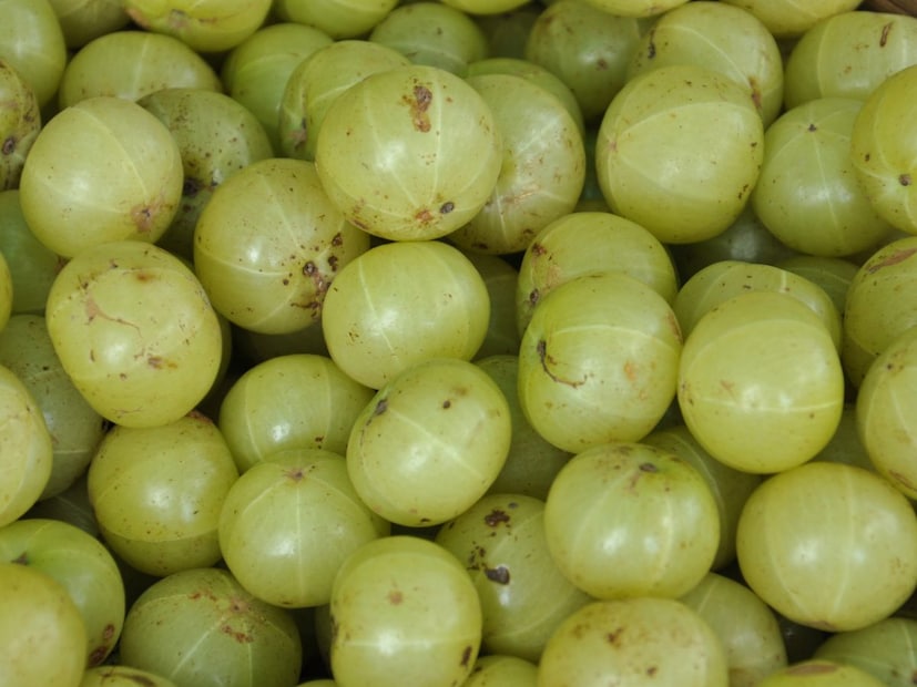 आवळा खाल्ल्याने रोगप्रतिकारक शक्ती मजबूत होते. तुमची रोगप्रतिकारक शक्ती कमकुवत असेल आणि तुम्ही वारंवार आजारी पडत असाल तर आवळा घ्या. तुम्ही आवळ्याचा रस देखील पिऊ शकता. (अस्वीकरण: येथे दिलेली माहिती सामान्य ज्ञानावर आधारित आहे. कोणताही उपाय करण्यापूर्वी तज्ञांचा सल्ला घेणे आवश्यक आहे. News18 मराठी यापैकी कोणत्याही गोष्टीची पुष्टी करत नाही.)