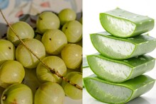 Winter Care : घरी तयार केलेलं तेल वापरा, हिवाळ्यातल्या कोरड्या हवेत केस राहतील मऊ