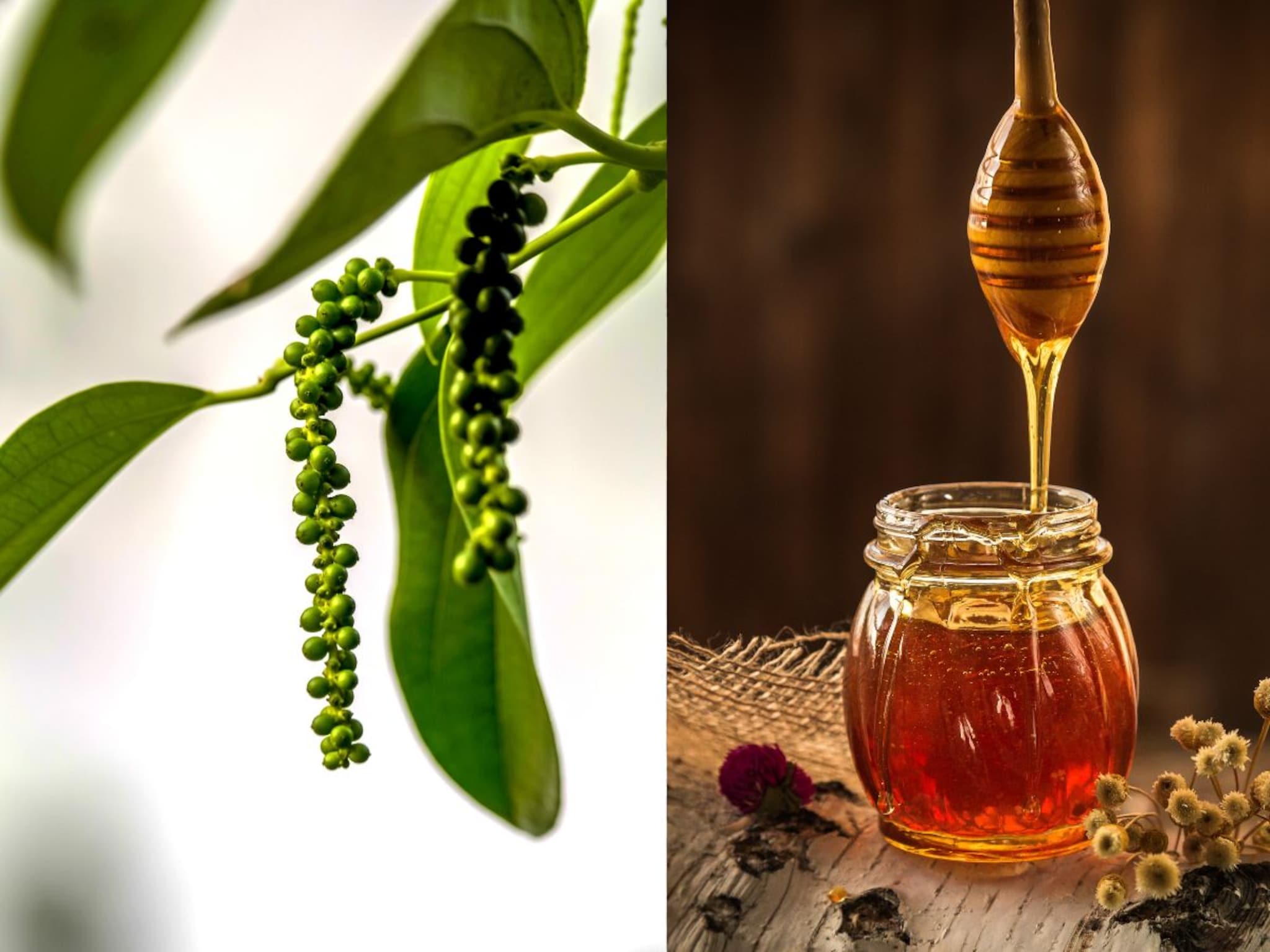 Digestion : मध - काळी मिरी खाण्याचे भरपूर फायदे, पचन - प्रतिकारशक्तीसाठी उत्तम