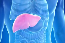 Fatty Liver : फॅटी लिव्हर टाळण्यासाठी या उपायांचा विचार करा, या पौष्टिक भाज्यांमुळे मिळेल यकृताला आराम