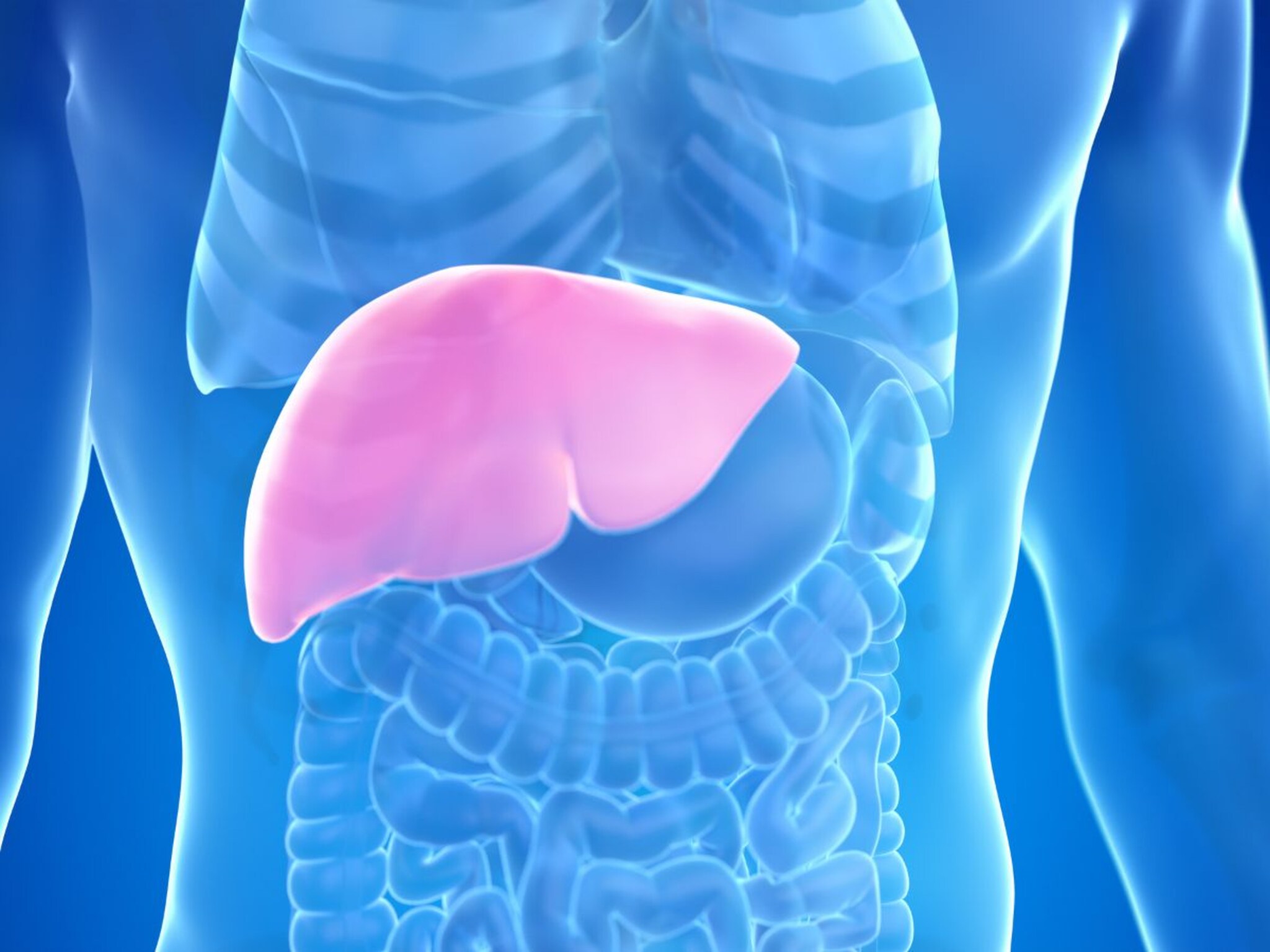 Fatty Liver : फॅटी लिव्हर टाळण्यासाठी या उपायांचा विचार करा, या पौष्टिक भाज्यांमुळे मिळेल यकृताला आराम