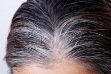 Amla Powder : केस नैसर्गिकरित्या दिसतील काळे, आवळ्याचा असा करा उपयोग