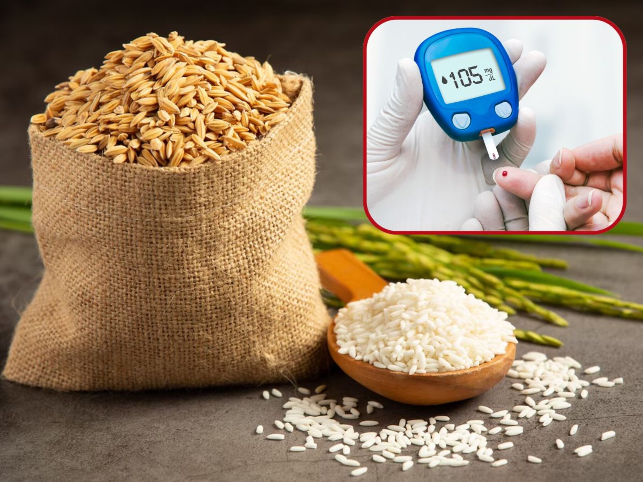 Brown Vs White Rice : मधुमेहींसाठी कोणता तांदूळ जास्त फायदेशीर, पांढरा की ब्राऊन? तज्ज्ञांनी सांगितले सत्य