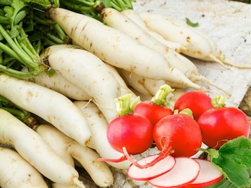 या पदार्थांसोबत मुळा खाणे टाळा.. या पदार्थांसोबत मुळा खाणे टाळा..