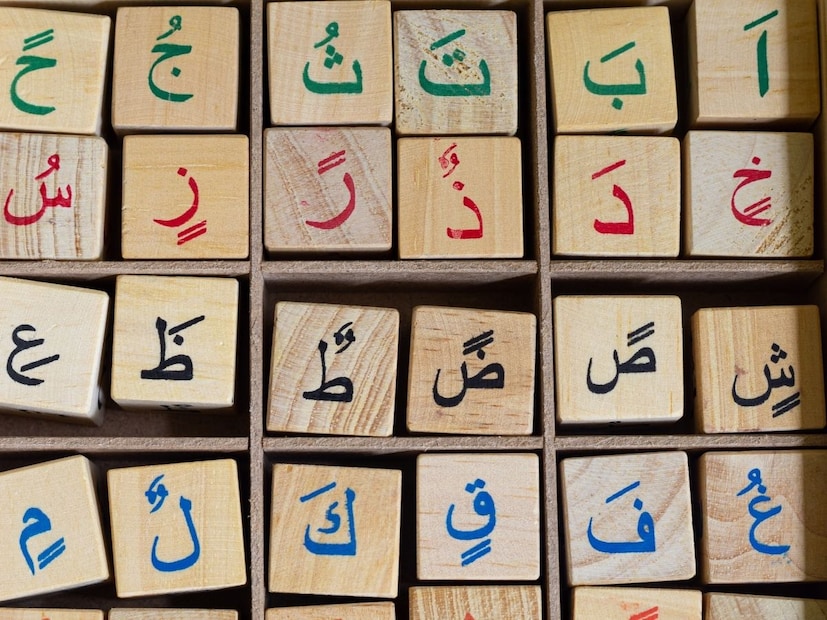 शेवटी, उर्दू. उर्दू भाषा सुमारे 23 कोटी लोक बोलतात. ही पाकिस्तानची अधिकृत भाषा आहे आणि भारतातील काही राज्यांमध्येही मोठ्या प्रमाणात बोलली जाते.