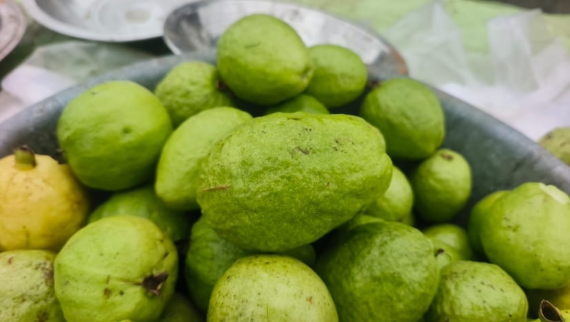 अमरेली जिल्हा प्रामुख्याने कृषी-आधारित आहे, जिथे बहुतांश लोकांची उपजीविका शेतीवर अवलंबून आहे. अनेक शेतकरी प्रगतीशील शेतीच्या माध्यमातून इतरांसाठी प्रेरणास्रोत ठरले आहेत. विशेषतः धारी-गीर भागातील शेतकरी नैसर्गिकआणि बागायती शेतीकडे वळून कमी खर्चात अधिक उत्पन्न मिळवत आहेत. याच मालिकेत एक नाव जोडले गेले आहे. 