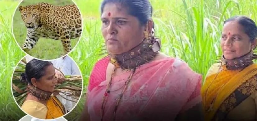 शेती हेचं उपजीविकेचं साधन असल्यानं, शेतात जाण्याविना या शेतकऱ्यांसमोर पर्याय नसतो. पण त्यावेळी बिबट्याच्या हल्ल्यातून जीव कसा वाचवायचा? असा प्रश्न त्यांच्यासमोर उभा ठाकलाय