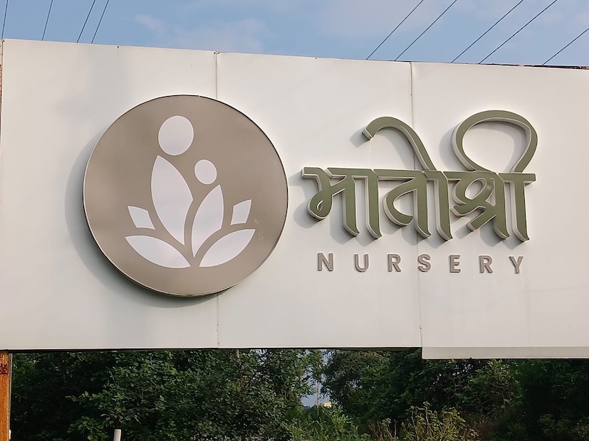 मातोश्री नर्सरीमध्ये आज 55 ते 60 मजूर कायमस्वरूपी काम करतात. विशेष म्हणजे महिला मजुरांचे प्रमाण जास्त असून दर आठवड्याला वेतन देण्याची पद्धत आहे. नर्सरीतून मिळणारा उत्पन्नाचा स्त्रोत म्हणजे रोपे, फळ–फुलझाडे, शोभिवंत रोपे, कृषी मार्गदर्शन, कृषी केंद्र सेवा या सर्व माध्यमातून वार्षिक उलाढाल 2.5 कोटी रुपये इतकी आहे. 