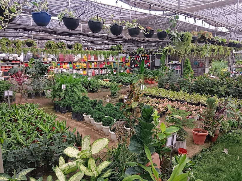 नर्सरीसाठी 6 पॉलिहाऊस, शेडनेट, ड्रिप-तुषार सिंचन, पाणी साठवण व पुनर्भरणाची आधुनिक व्यवस्था उभारण्यात आली आहे. पॉलिहाऊसवर पडणारे पावसाचे पाणी संकलित करून विहीर–बोअरवेलमध्ये परत भरण्याची पद्धत त्यांनी विकसित केली आहे. 2012 मध्ये आत्मा योजनेसाठी सर्वात कमी दराने निविदा मिळवली आणि एकाच वेळी 11 लाख रोपे जिल्ह्यात पुरवली. 