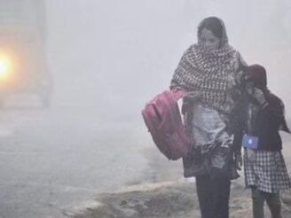 हवामानाचा यू-टर्न! दिवसा दमट, रात्री गारवा; पुढच्या आठवड्यात कसं राहणार हवामान