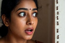 मी मुंग्यांसोबत राहू शकत नाही...! मुंग्या पाहून घाबरली महिला, भीतीने संपवलं स्वतःचं आयुष्य