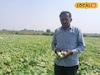 Success Story : ६० दिवसांत १ लाख कमाई! शेतीचं गणित बदललं; 'या' सोलापूरच्या शेतकऱ्याने सांगितला यशाचा अचूक फॉर्म्युला!