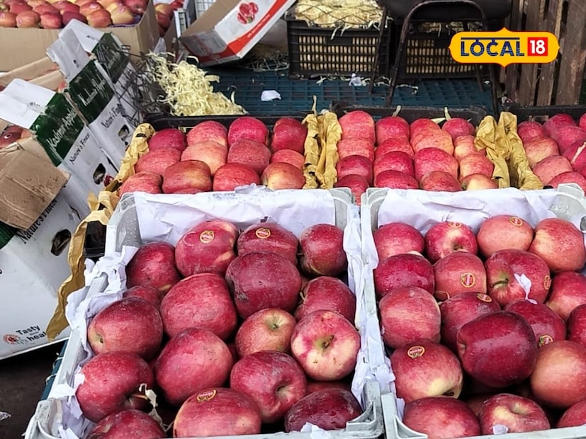 सध्या अफगाणी सफरचंदाचा घाऊक दर 10 किलोसाठी 900 ते 1100 रुपये इतका आहे. तर किरकोळ बाजारात प्रतिकिलो 130 ते 160 रुपयांपर्यंत विकले जात आहेत. गेल्या वर्षीच्या तुलनेत या दरात 100 ते 150 रुपयांची वाढ झाली आहे.