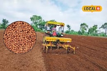Agriculture News : शेतकऱ्यांनो हरभरा पेरणी करताय? वाणांची निवड करतांना घ्या ही काळजी, मिळेल भरघोस उत्पादन, Video