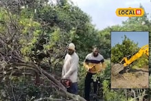 Agriculture News : मोसंबीला भावच नाही, शेतकरी झाला हतबल, 1000 मोसंबीच्या झाडांवरती फिरवली जेसीबी