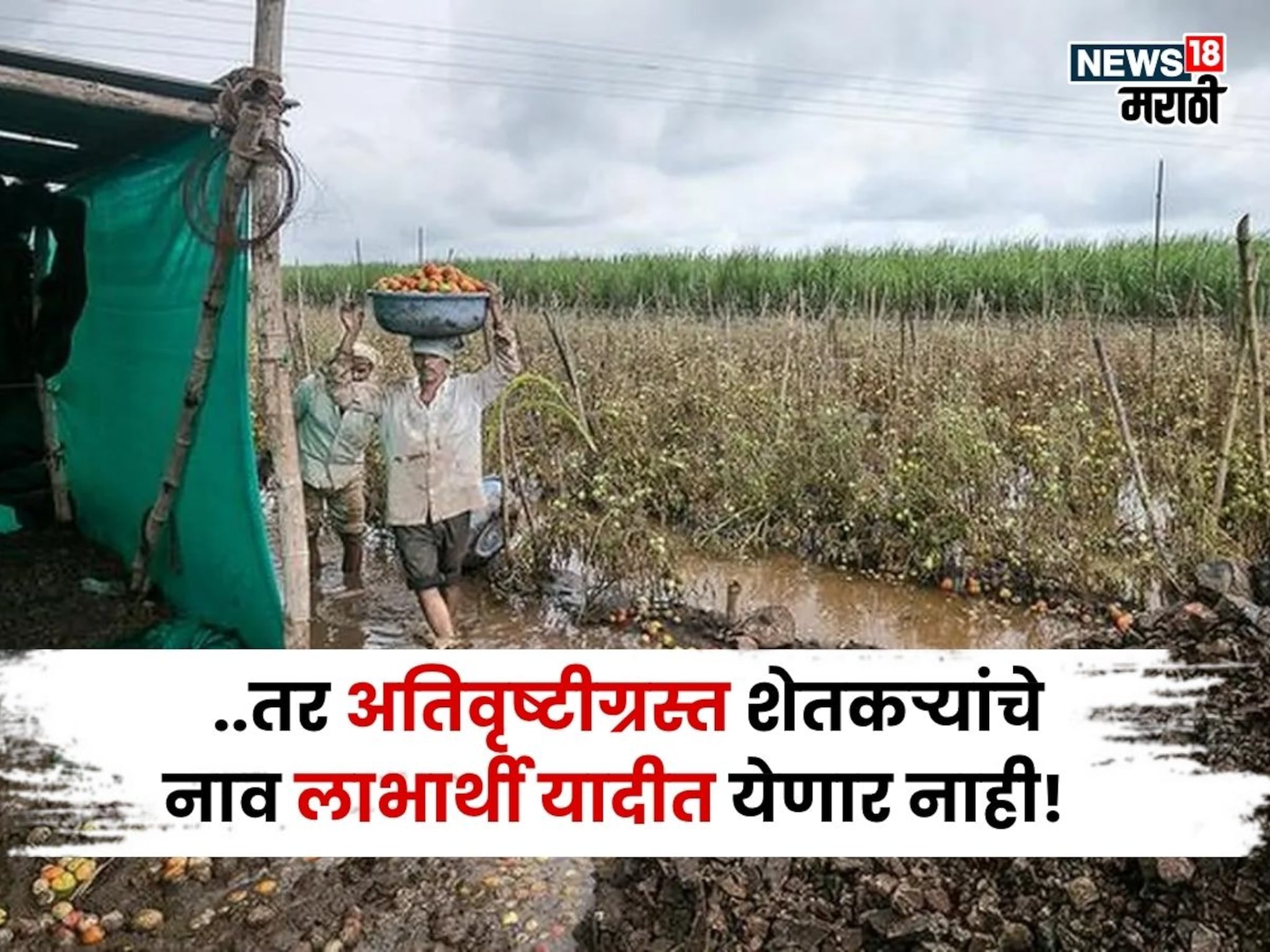 ..तर अतिवृष्टीग्रस्त शेतकऱ्यांचे नाव लाभार्थी यादीत येणार नाही, शासनाची अट काय?