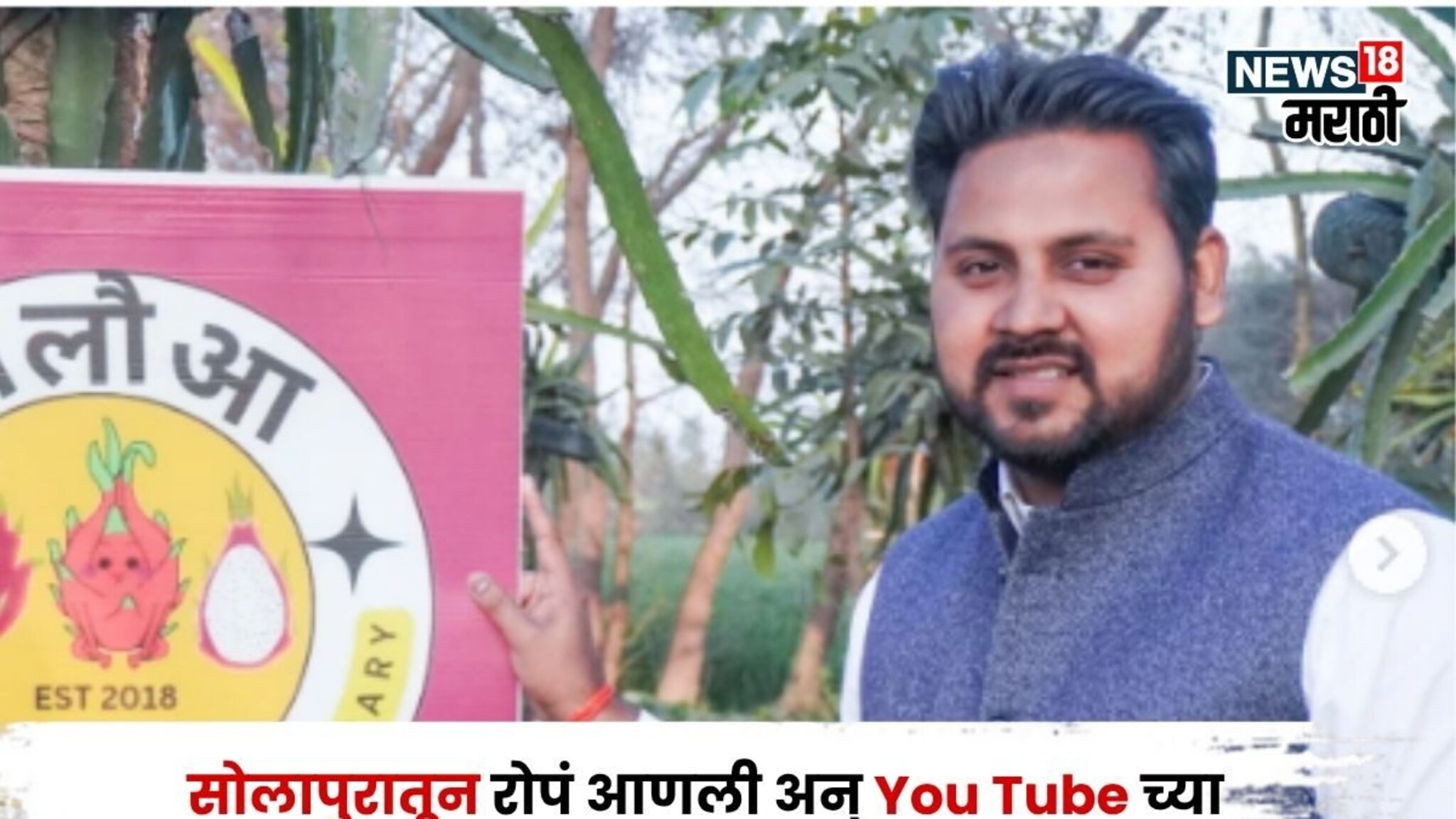 एक एकर नापीक रान, सोलापुरातून रोपं आणली अन् इंजिनीअर तरुणानं शेतीत क्रांती घडवली, करतोय १८ लाखांची कमाई